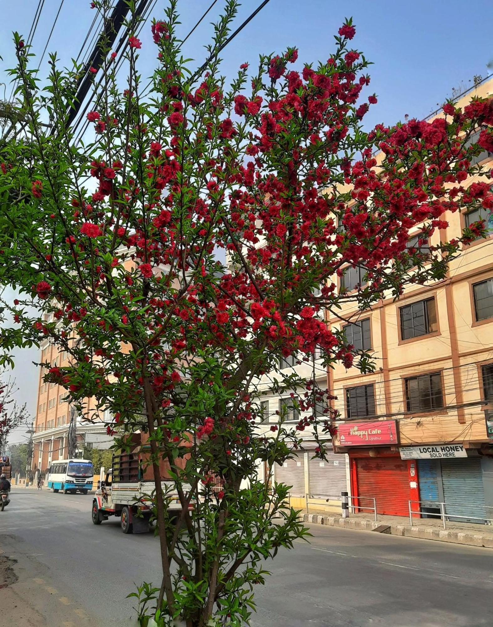 Best Hostel Kathmandu Exterior photo